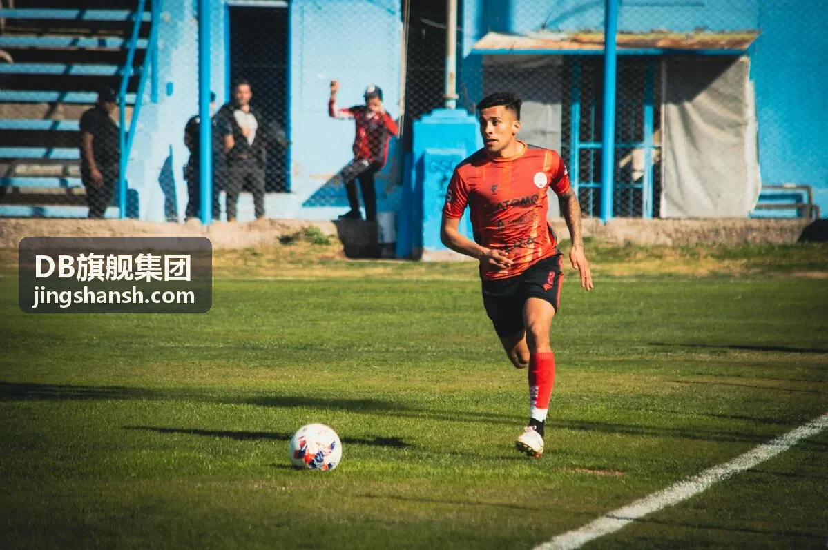 DB旗舰集团跨境并购案例